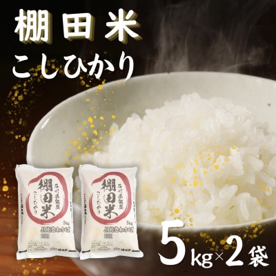 【令和7年産】棚田米コシヒカリ10kg (5kg×2袋)