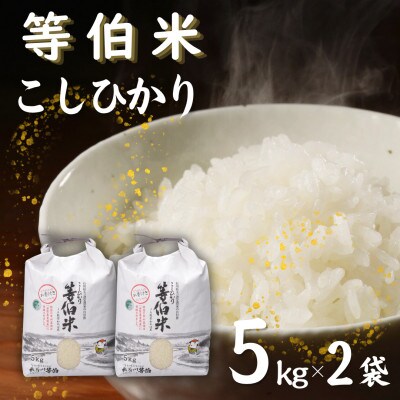 【令和7年産】等伯米コシヒカリ10kg (5kg×2袋)