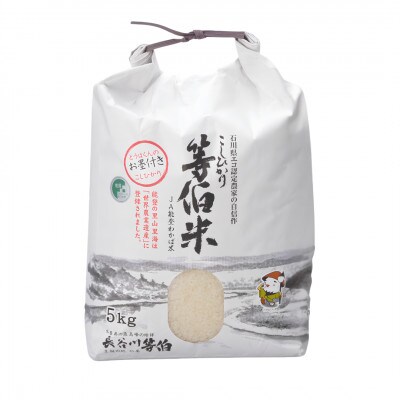 【令和7年産】等伯米コシヒカリ10kg (5kg×2袋)