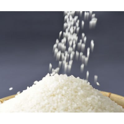 【令和7年産】能登米コシヒカリ5kg (5kg×1袋)