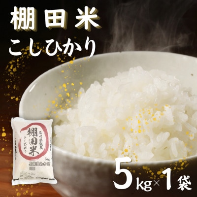【令和7年産】棚田米コシヒカリ5kg (5kg×1袋)