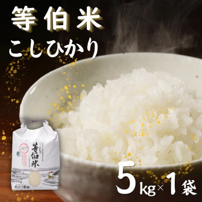 【令和7年産】等伯米コシヒカリ5kg (5kg×1袋)