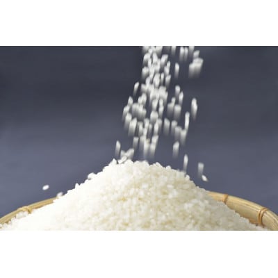 【令和7年産】等伯米コシヒカリ5kg (5kg×1袋)