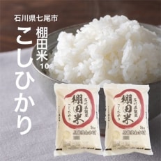 2023年5月発送開始『定期便』棚田米コシヒカリ10kg(5kg×2袋)全5回