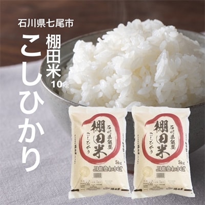 2023年3月発送開始『定期便』棚田米コシヒカリ10kg(5kg×2袋)全6回