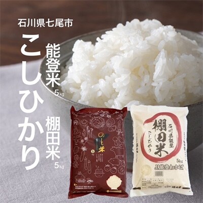 2023年7月発送開始『定期便』能登米コシヒカリと棚田米コシヒカリ 10kg(各5kg)全4回