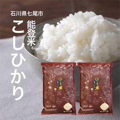 2023年5月発送開始『定期便』能登米こしひかり6kg(3kg×2袋)全5回