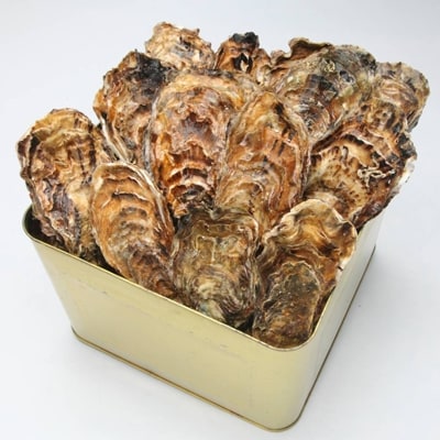 山口水産の能登かき　殻付き半缶 | ふるさと納税のお礼品