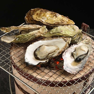 山口水産の能登かき 殻付き一斗缶