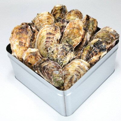 山口水産の能登かき 三分缶(約30個入り)