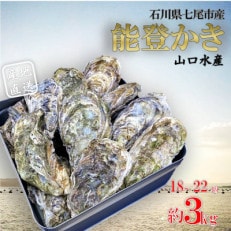 山口水産の能登かき 殻付き 3kg(18～22個入)