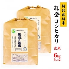 【令和5年産】能登のコシヒカリ 飯川のお米 6kg(玄米3kg&times;2袋)