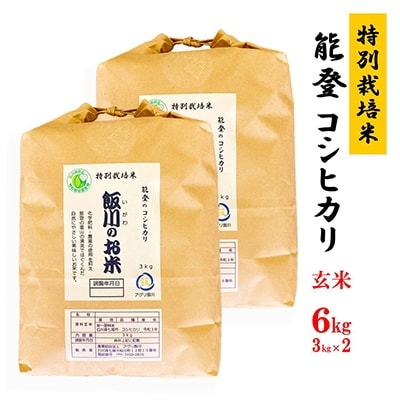 令和5年産】能登のコシヒカリ 飯川のお米 6kg(玄米3kg×2袋) | お礼品