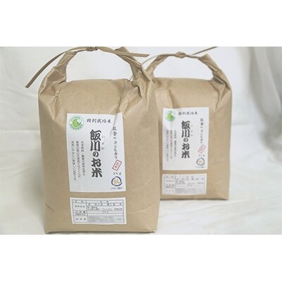 【令和4年産】能登のコシヒカリ 飯川のお米 6kg(玄米3kg×2袋)