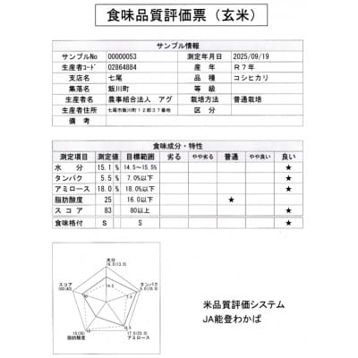 【令和7年産】能登のコシヒカリ　飯川のお米　10kg(精米10kg×1袋)
