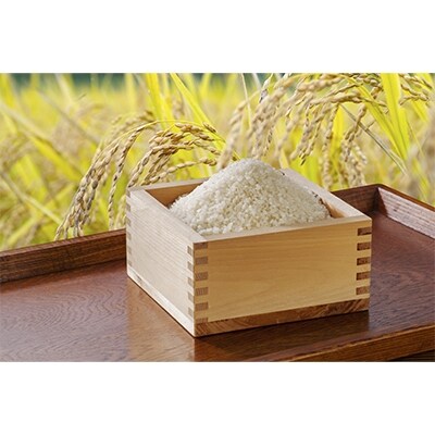【令和6年産】能登米こしひかり「五代目三次」 10kg×2