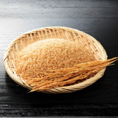 【令和8年産】万行希望の丘農園 こしひかり 5kg