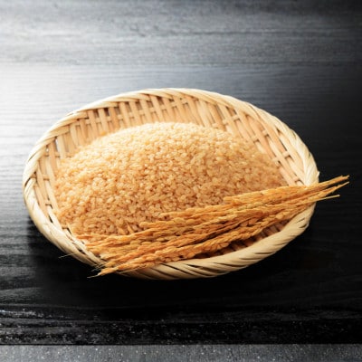 【令和8年産】万行希望の丘農園 こしひかり 5kg