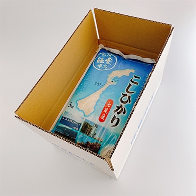 2023年3月発送開始『定期便』七尾産こしひかり10kg(精米5kg×2袋)全2回