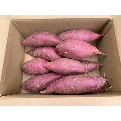 能登島産さつまいも(シルクスイート)