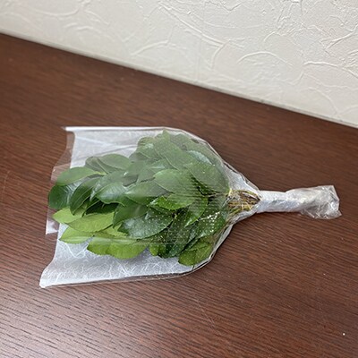 【毎月定期便】能登乃榊 1対 (6カ月間定期配送)全6回