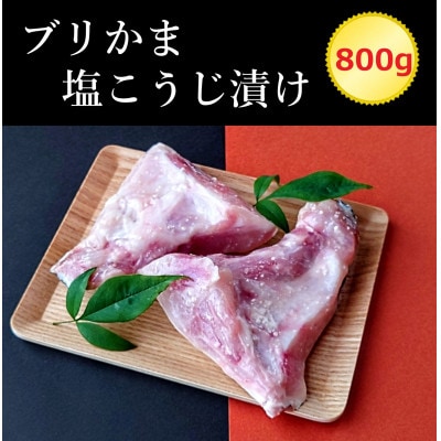 ブリかま塩こうじ漬け(真空パック冷凍・800g)