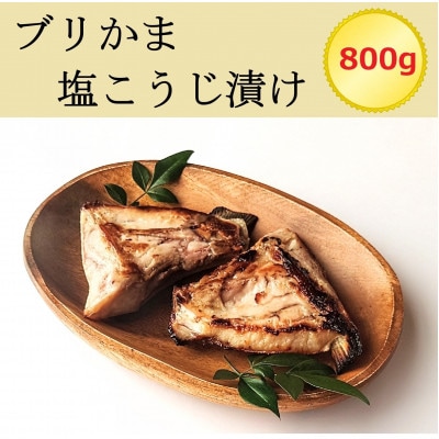 ブリかま塩こうじ漬け(真空パック冷凍・800g)