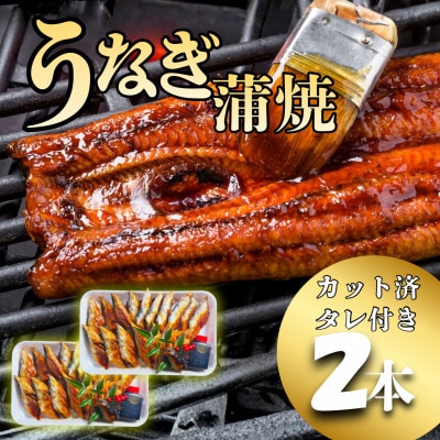 【大型サイズ・カット済み】国産うなぎ蒲焼 すぐ食べられる職人焼き(2本)