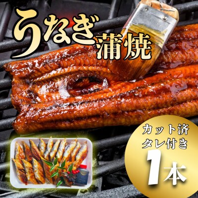 【大型サイズ・カット済み】国産うなぎ蒲焼 すぐ食べられる職人焼き(1本)