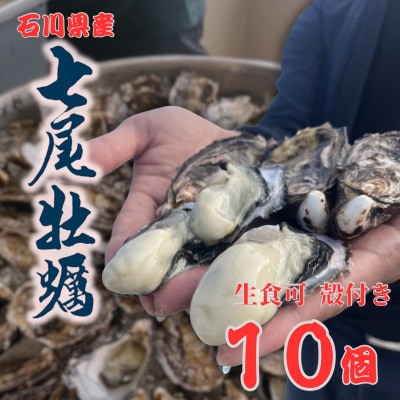 七尾牡蠣　10個入り