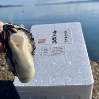 七尾牡蠣　10個入り