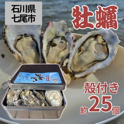 能登かき　殻付き 小缶 約25個 (加熱用)