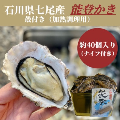 石川県七尾産　能登かき　殻付き　半缶　(約40個)