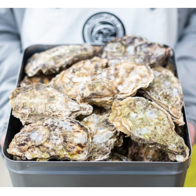 石川県七尾産　能登かき　殻付き　一斗缶(約80個)