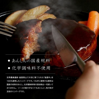 石川県産　能登牛100%グリルドハンバーグ　140g×4個