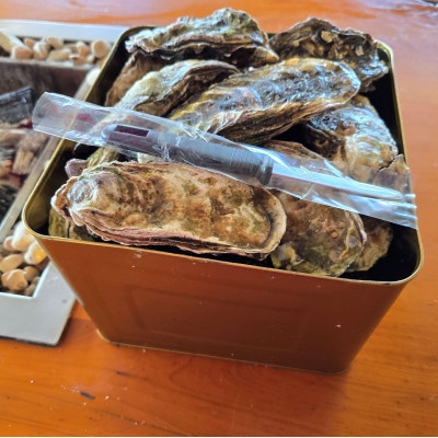 盛ちゃん(湯田水産) 能登牡蠣 殻付き 半缶(35個前後) 約5.5kg 加熱用