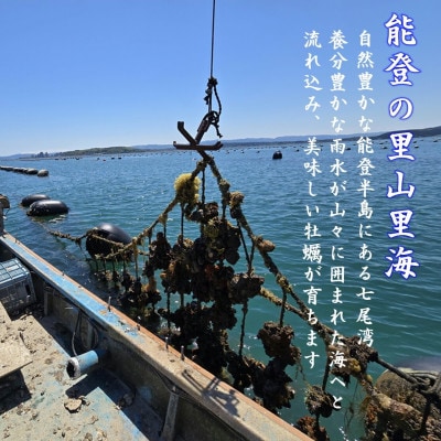 盛ちゃん(湯田水産) 能登牡蠣 殻付き 半缶(35個前後) 約5.5kg 加熱用