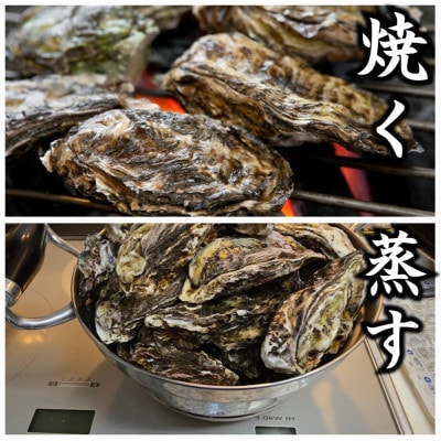 盛ちゃん(湯田水産) 能登牡蠣 殻付き 半缶(35個前後) 約5.5kg 加熱用