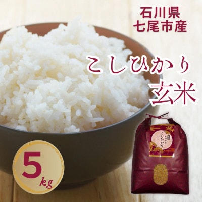 石川県七尾市産　コシヒカリ　玄米　5Kg