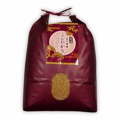石川県七尾市産　コシヒカリ　玄米　5Kg