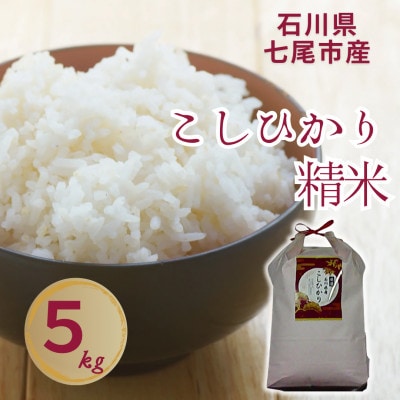 石川県七尾市産　コシヒカリ　精米　5Kg