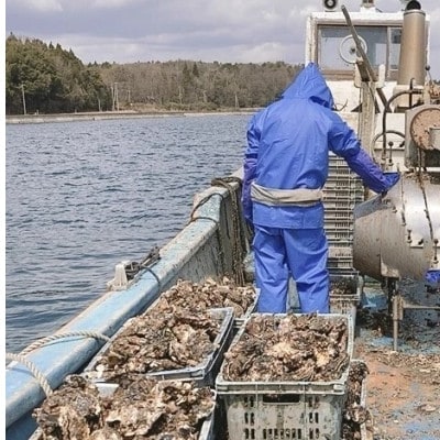 沢田水産 能登かき むき身 1kg(箱入り)加熱調理用