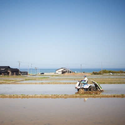 能登島のふるさと米　コシヒカリ2kg　精米