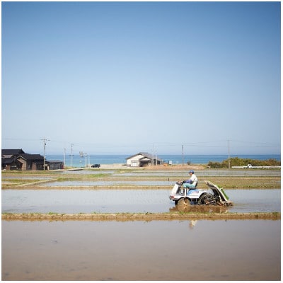 【3ヵ月毎定期便】能登島のふるさと米　コシヒカリ10kg　精米全4回