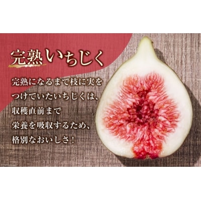 いちじく 生 完熟 約1.2kg (300g×4パック) [モアショップヤマモト 38600615]