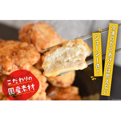 唐揚げ 能登から&ごちから詰め合わせ[38600917]