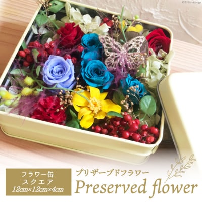 プリザーブドフラワー 花 フラワー缶スクエア  [littleprincess 38600808]