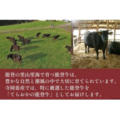 牛肉 能登牛 特選 (4～5等級) しゃぶしゃぶ用 300g 肩 もも肉 [38601302]