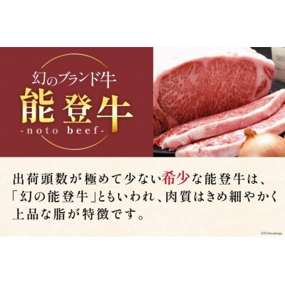 牛肉 能登牛 特選 (4～5等級) すき焼き用 300g [38601311] 