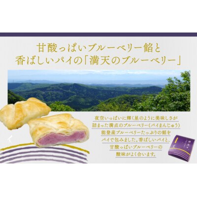 お菓子 個包装 渚のドライブ 6個 満天のブルーベリー 5個 計11個 [38601293]